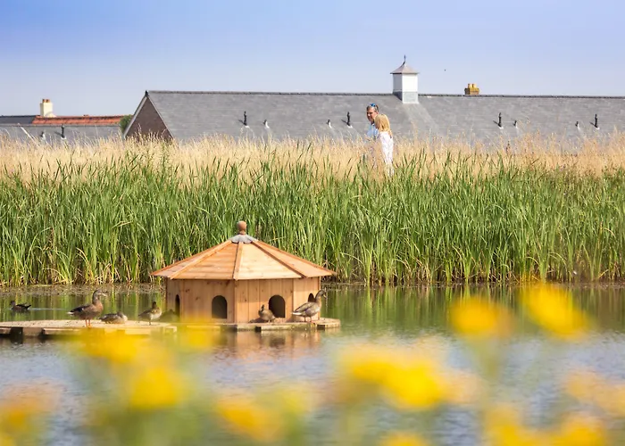 The Bay Village By Away 4* 法利