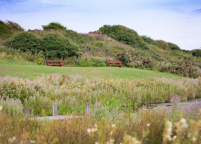 The Bay Village By Away